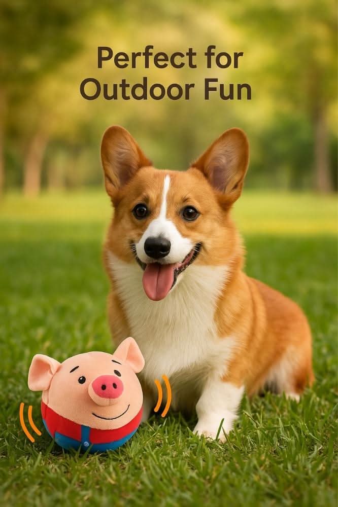 Happy corgi dog sitting on grass with bouncy pig toy for outdoor play