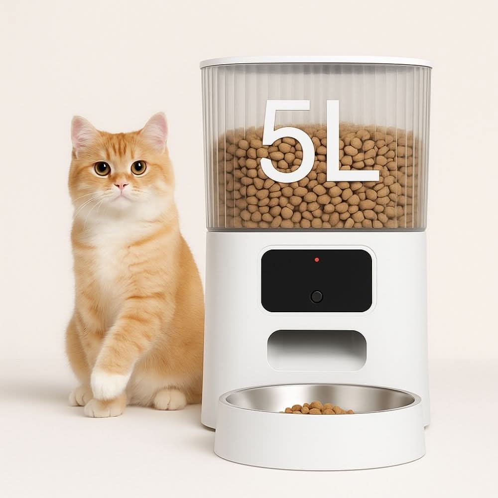 5L automatic pet feeder with single stainless steel bowl and ginger cat sitting beside, filled with dry food in transparent container
