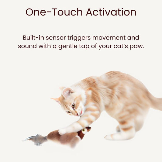 Orange tabby cat playing with bird toy that activates with a single paw tap.