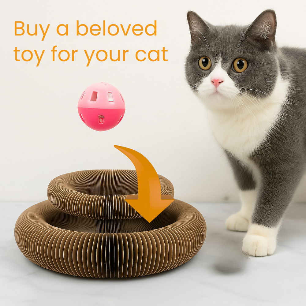 Multiple configurations of FluffyDen™ Magic Cat Scratch Toy