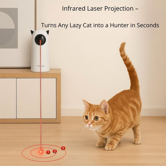 A curious orange tabby focuses on a red laser beam projected from the FluffyDen™ SmartLaser Toy placed on a cabinet.