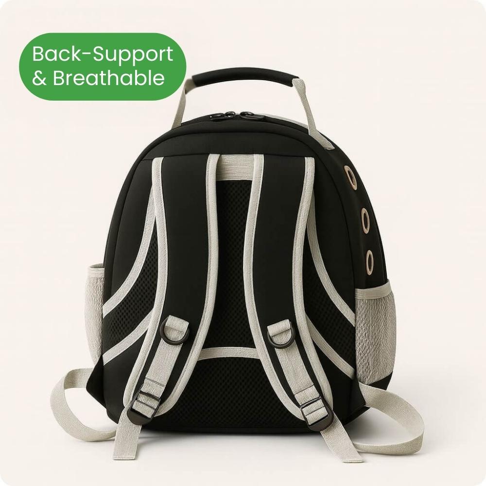 Black and gray backpack with back support and breathable features on a white background