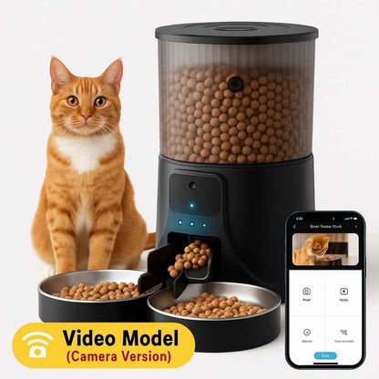 4L dual-bowl automatic pet feeder with built-in camera, ginger cat, and smartphone showing live video feed in camera version