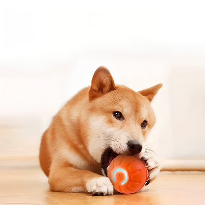 Puppy interacting with FluffyDen™ Smart Bouncing Ball Toy