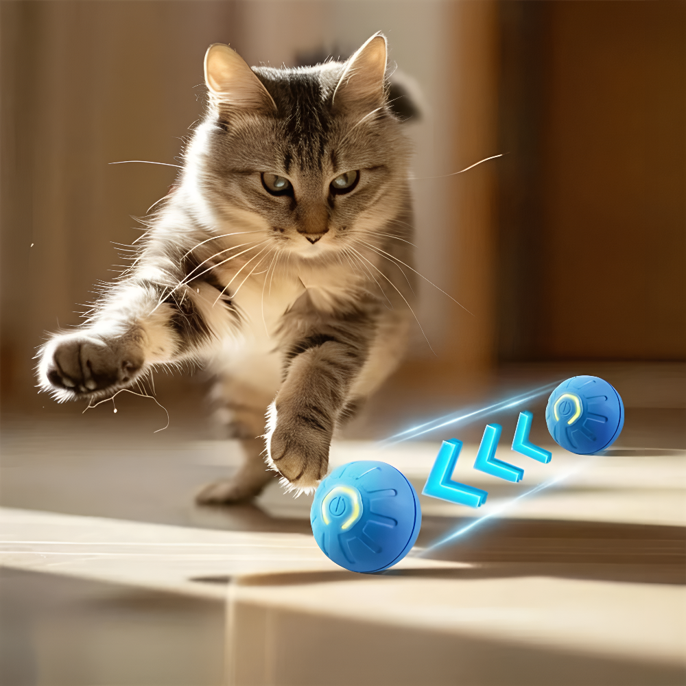 Cat chasing the FluffyDen™ Smart Bouncing Ball Toy