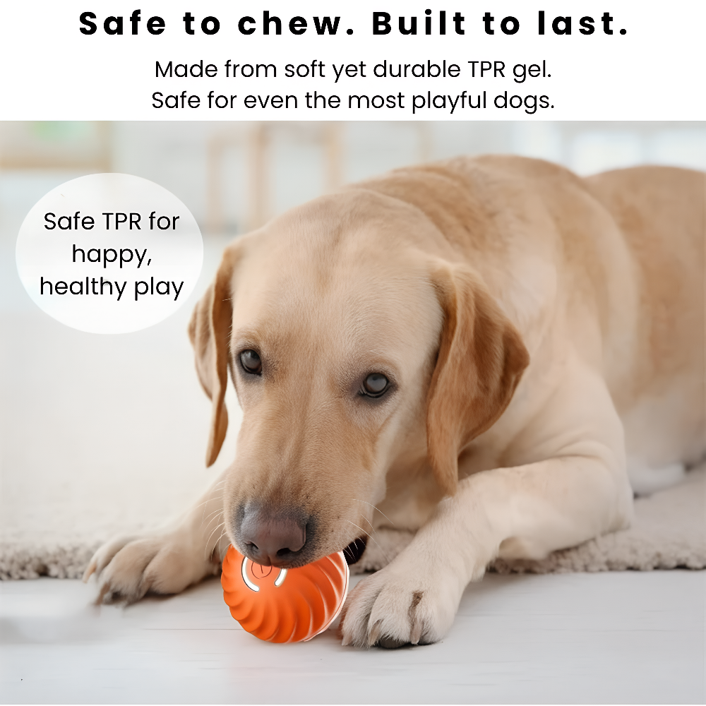 Dog chewing on FluffyDen™ Smart Bouncing Ball Toy
